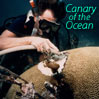 canary of the ocean canary of the ocean
